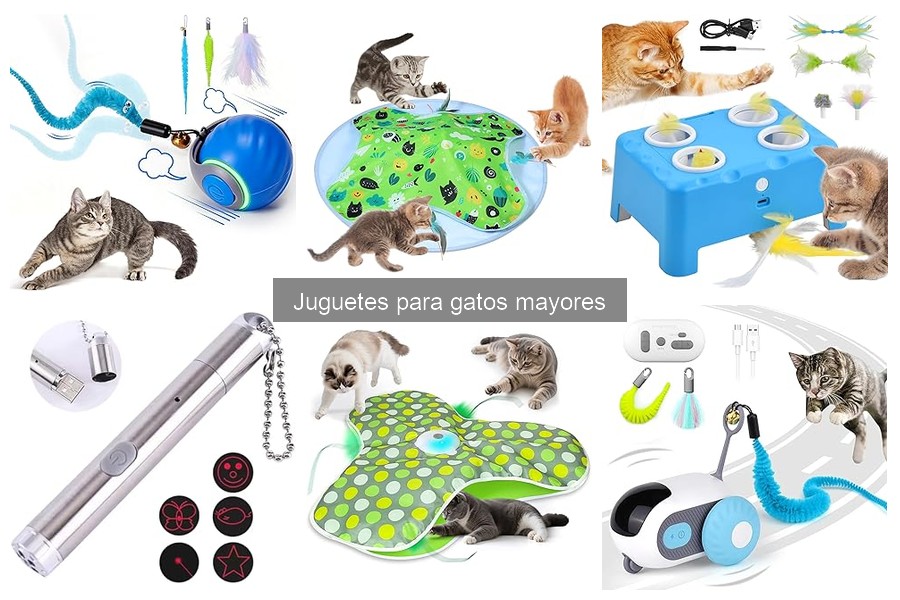 Cómo Elegir Juguetes para Gatos Mayores: Guía Práctica