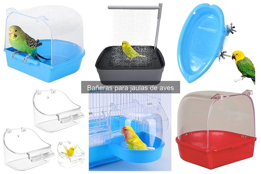 Cómo elegir la bañera perfecta para la jaula de tu ave