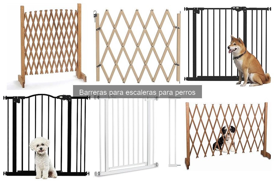 Cómo elegir la barrera para escaleras ideal para perros grandes