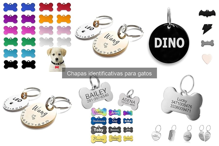 Cómo elegir la chapa identificativa perfecta para tu gato