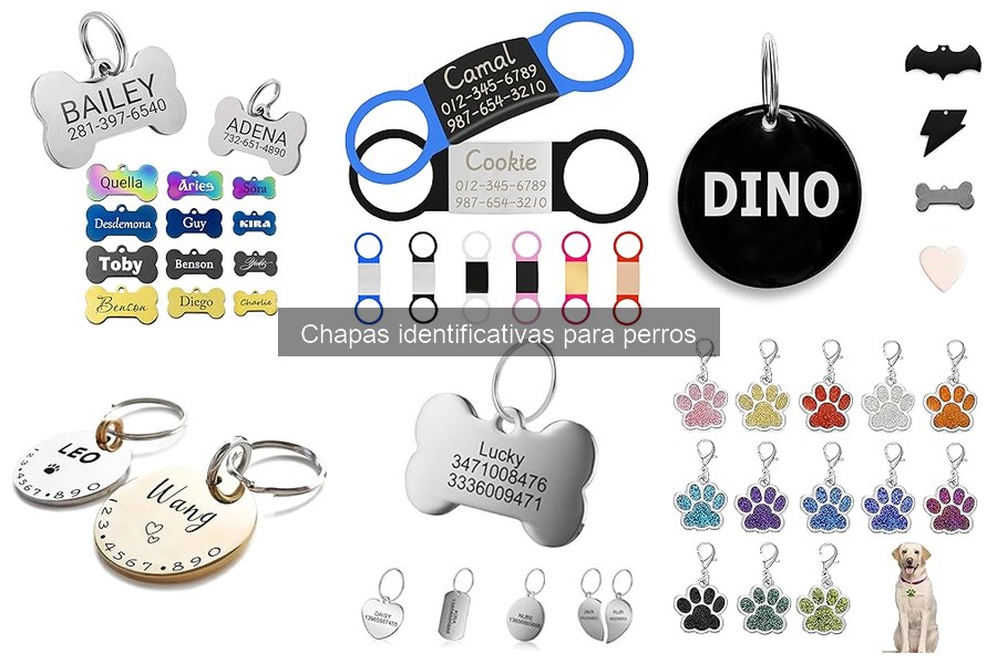 Cómo elegir la chapa identificativa perfecta para tu perro
