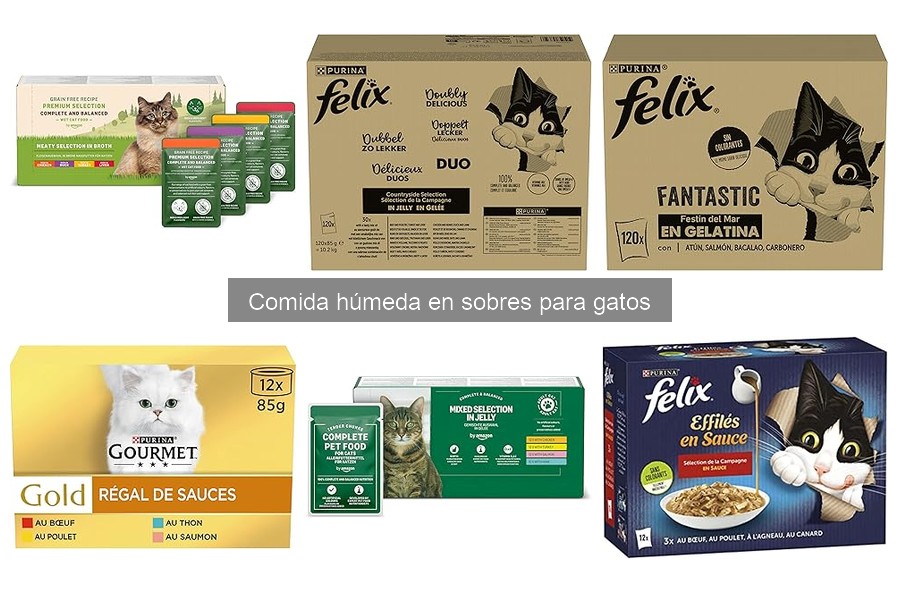 Cómo elegir la comida húmeda ideal para tu gato
