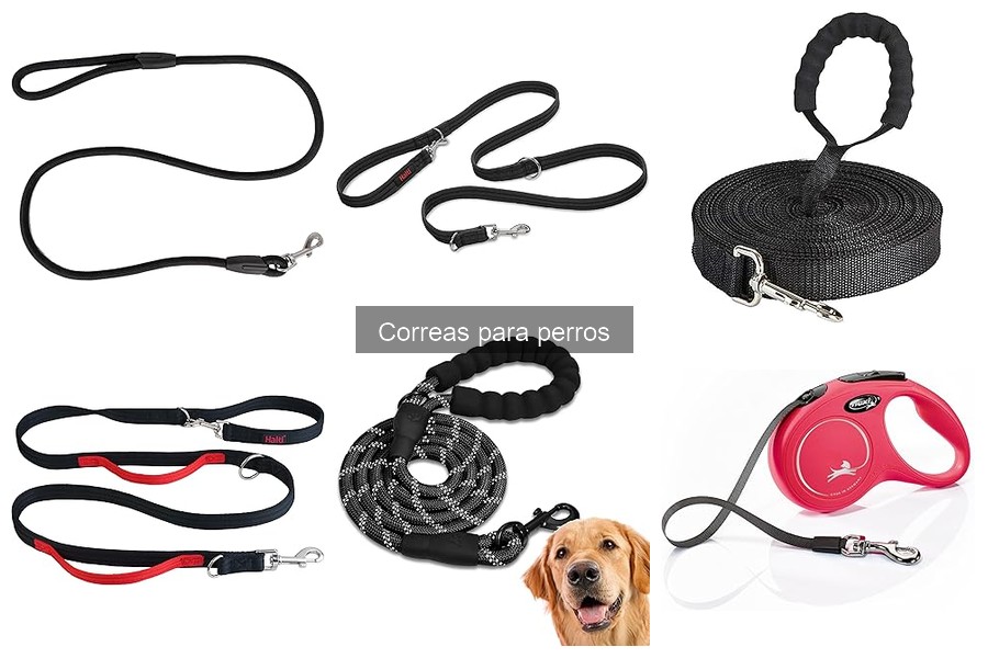 Cómo Elegir la Correa Ideal para tu Perro según su Raza