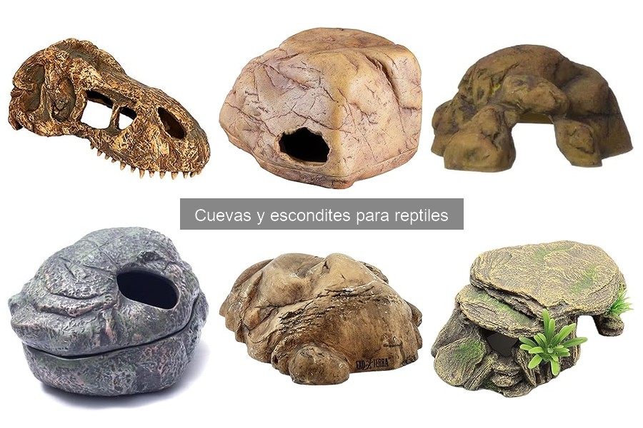 Cómo elegir la cueva adecuada para tu reptil