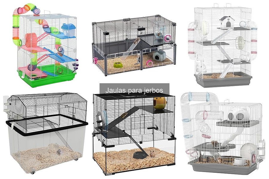Cómo elegir la jaula adecuada para jerbos: guía de compra