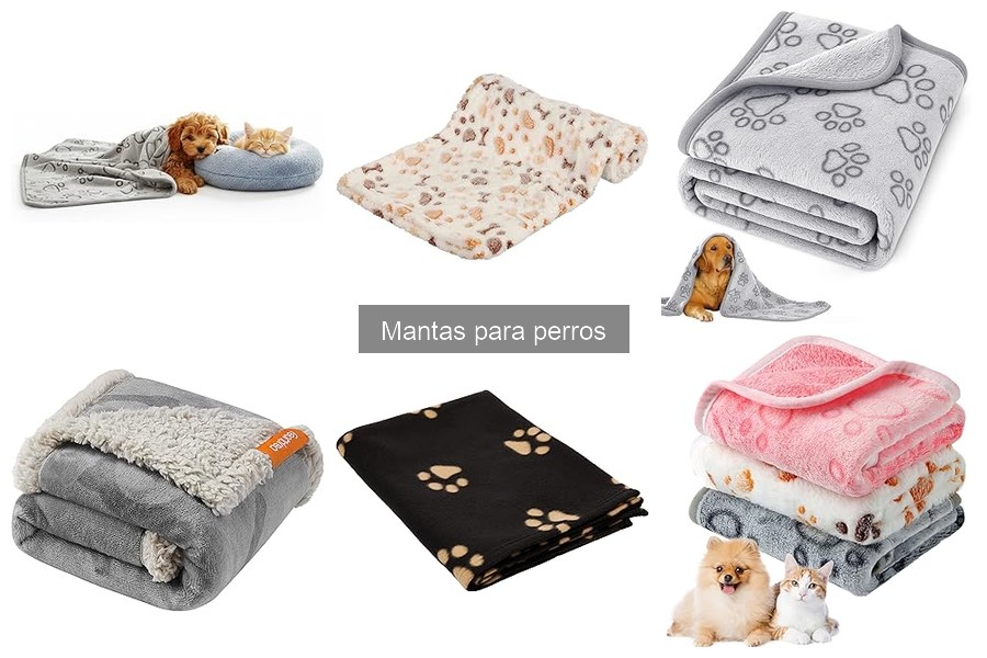 Cómo elegir la manta perfecta para tu perro