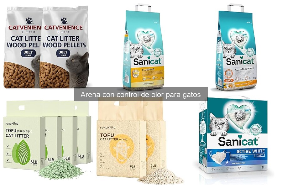 Cómo elegir la mejor arena con control de olor para gatos