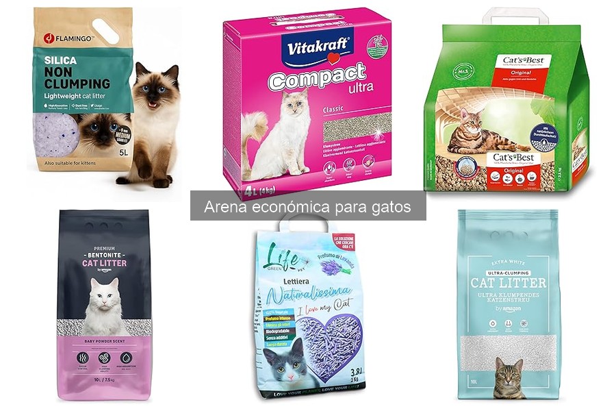 Cómo elegir la mejor arena económica para gatos