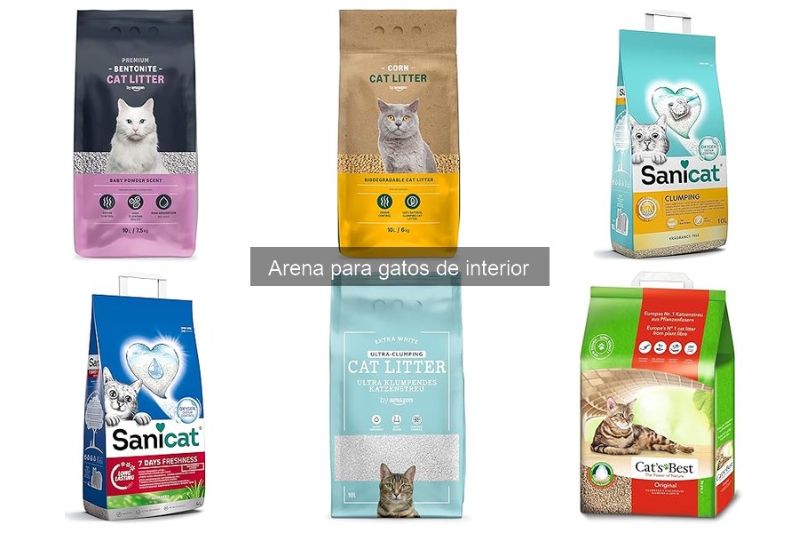 ¿Cómo elegir la mejor arena para gatos? Guía de compra