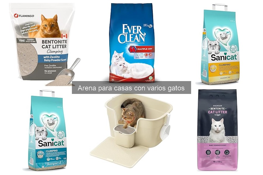 Cómo elegir la mejor arena para gatos según sus preferencias