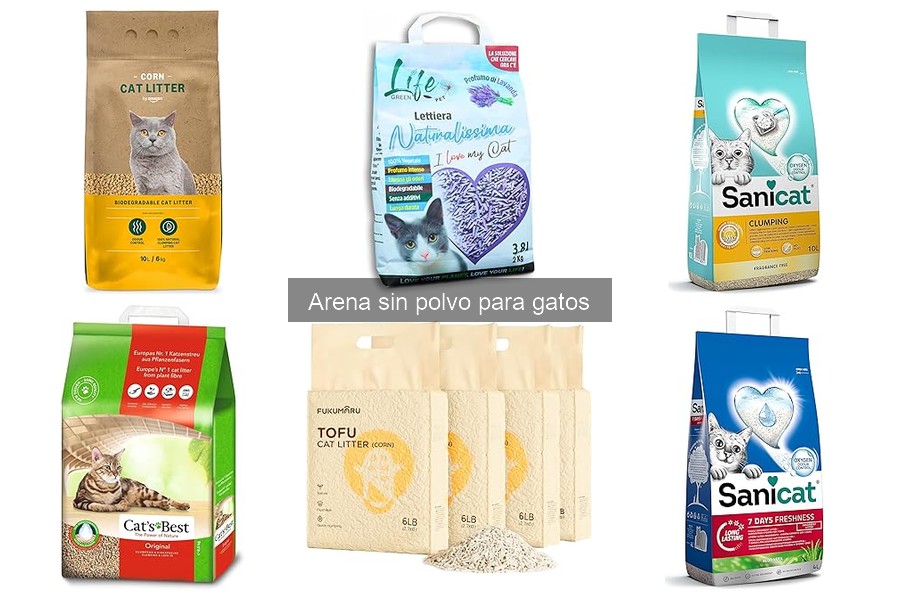 Cómo elegir la mejor arena sin polvo para gatos