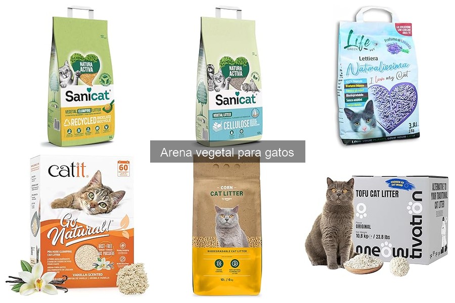 Cómo elegir la mejor arena vegetal para gatos