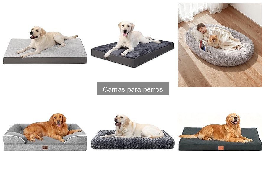 Cómo elegir la mejor cama para tu perro: guía de compra