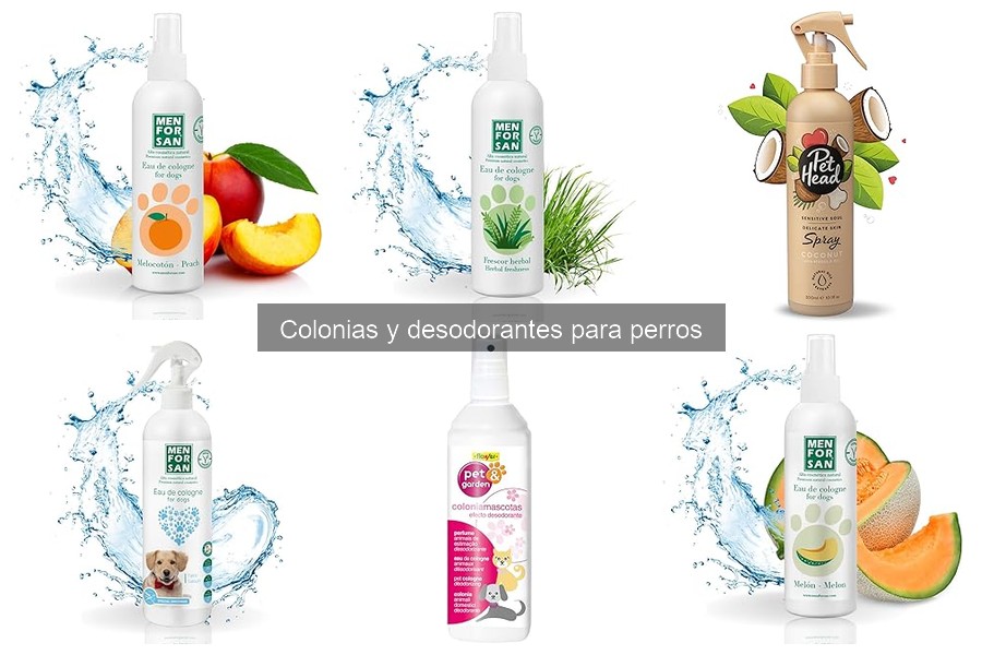Cómo elegir la mejor colonia para tu perro | Guía de compra