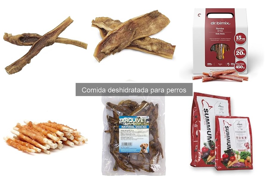Cómo elegir la mejor comida deshidratada para perros