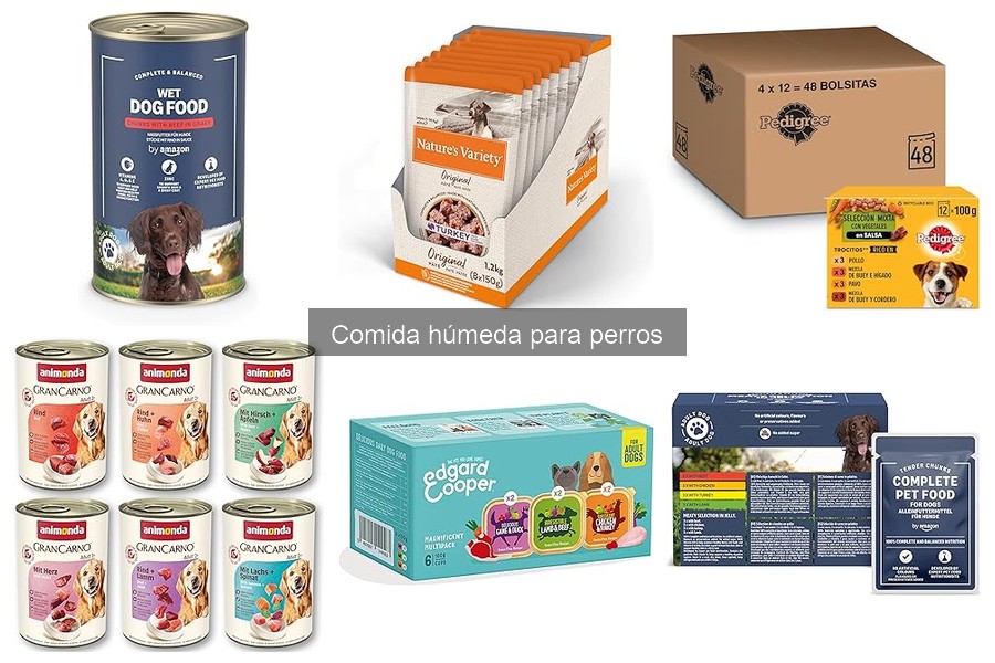 Cómo elegir la mejor comida húmeda para perros