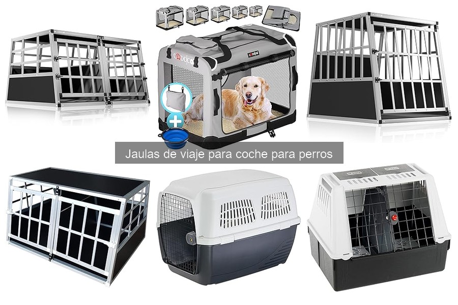 Cómo elegir la mejor jaula de viaje para perros