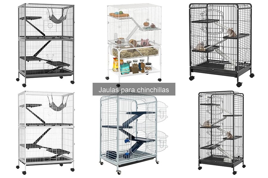 Cómo elegir la mejor jaula para chinchillas: guía práctica