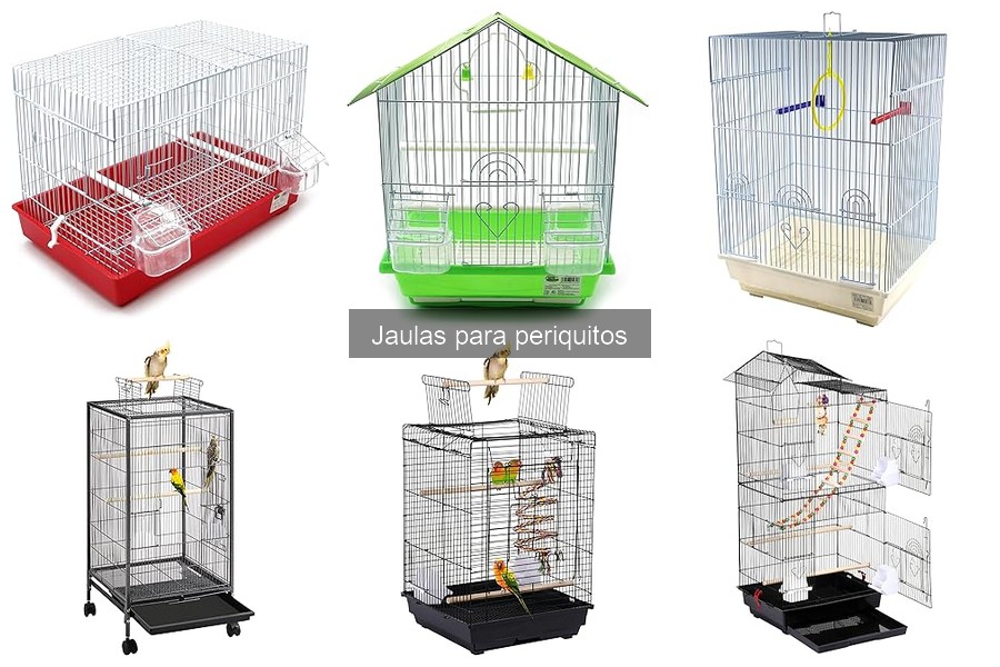 Cómo elegir la mejor jaula para tu periquito