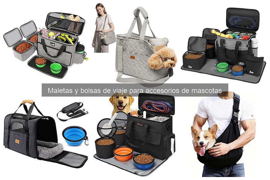 Cómo elegir la mejor maleta o bolsa de viaje para mascotas