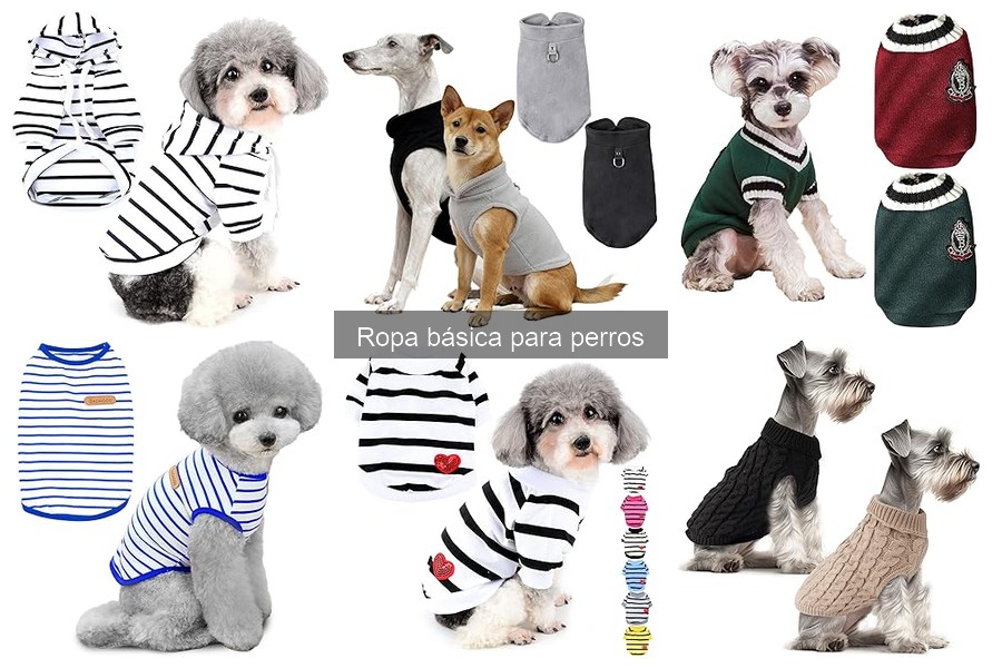 Cómo elegir la talla adecuada de ropa para perros