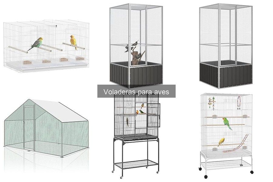 Cómo elegir la voladera perfecta para tus aves