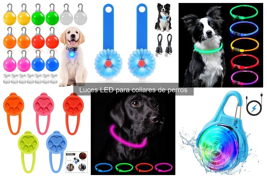 Cómo elegir luces LED para collares de perros: Guía 2023