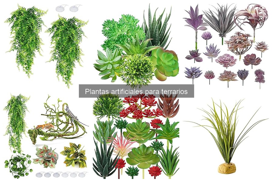 Cómo elegir plantas artificiales para terrarios temáticos