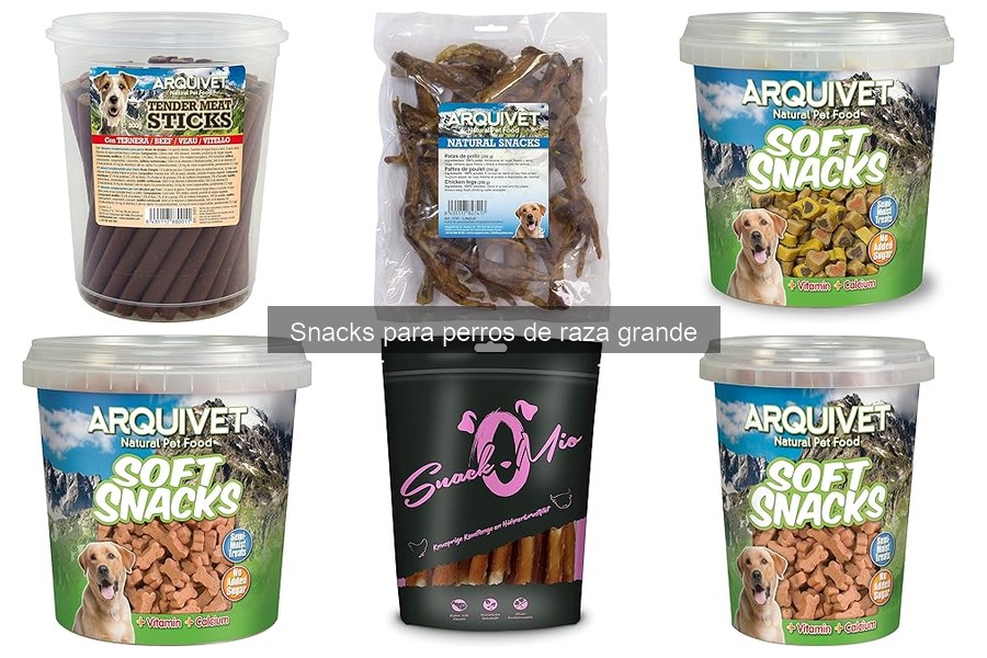 Cómo elegir snacks para perros grandes según su edad