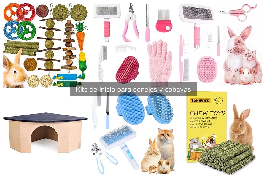 Cómo elegir un kit de inicio para conejos y cobayas