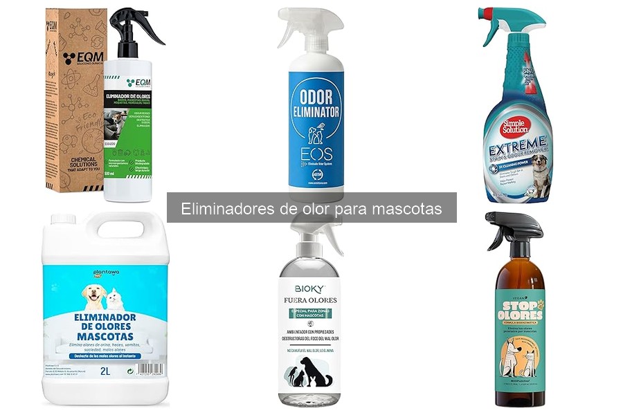 Cómo eliminar el olor de la orina de mascotas fácilmente