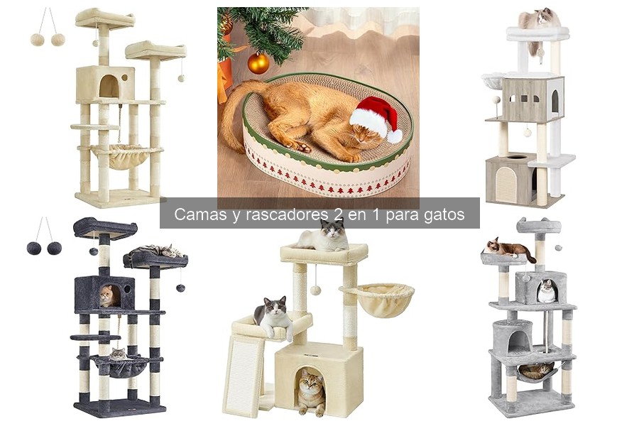 Cómo enseñar a tu gato a usar cama y rascador 2 en 1