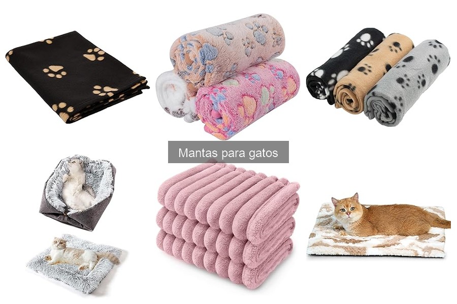 Cómo Enseñar a Tu Gato a Usar Su Manta Efectivamente