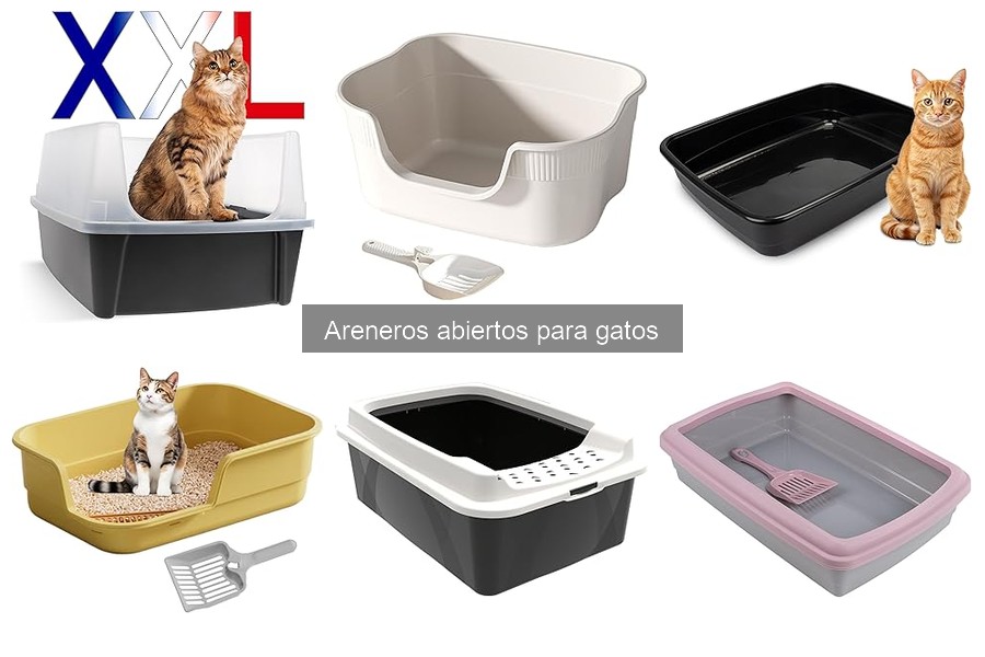 Cómo Enseñar a tu Gato a Usar un Arenero Abierto