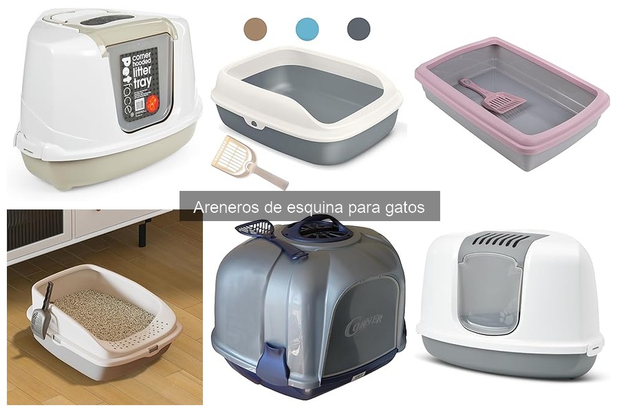 Cómo enseñar a tu gato a usar un arenero de esquina