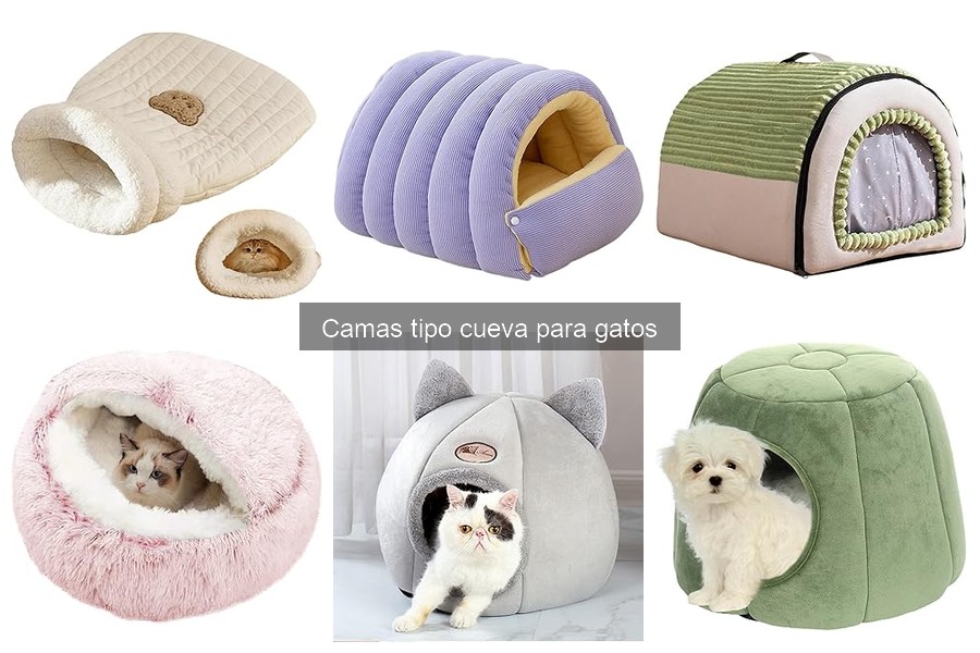 Cómo entrenar a tu gato para usar una cama tipo cueva