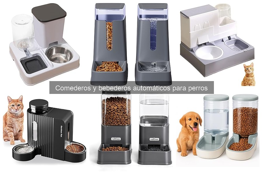Cómo entrenar a tu perro para usar un comedero automático