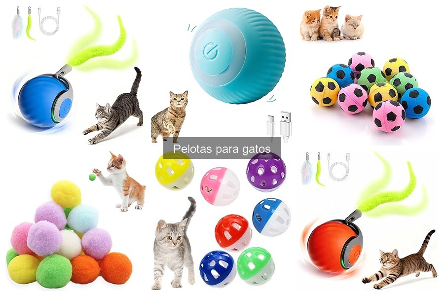 Cómo estimular a tu gato a jugar con pelotas divertidas
