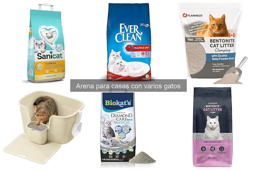 Cómo evitar que la arena para gatos se esparza en casa