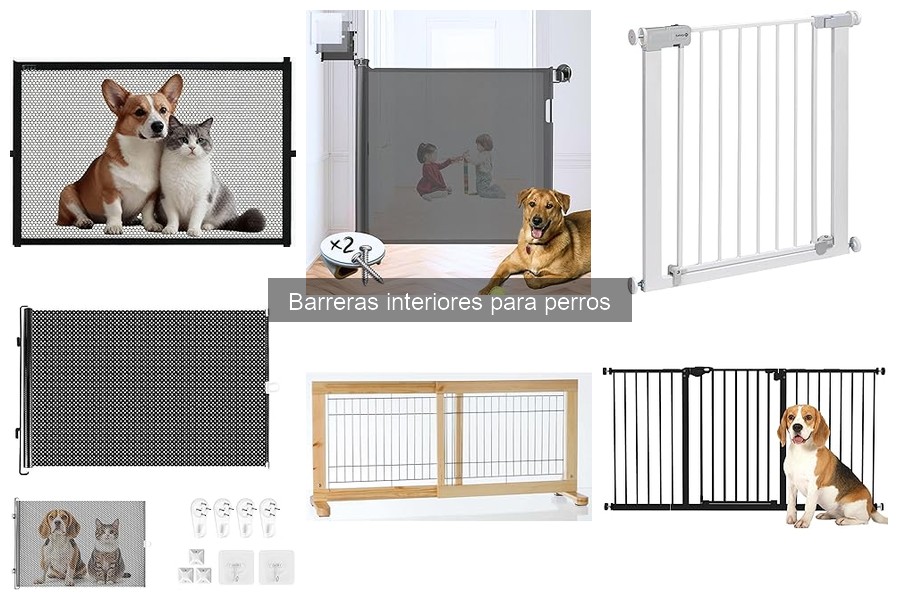 Cómo evitar que mi perro supere la barrera interior
