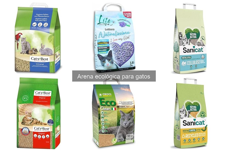 Cómo hacer arena ecológica casera para gatos fácilmente