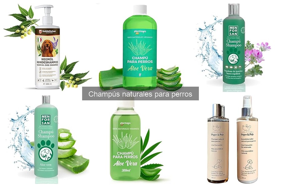Cómo Hacer Champú Natural Casero para Perros