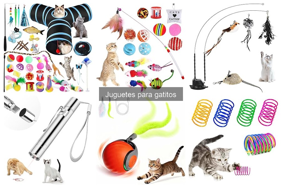 Cómo hacer juguetes caseros para gatitos fácilmente