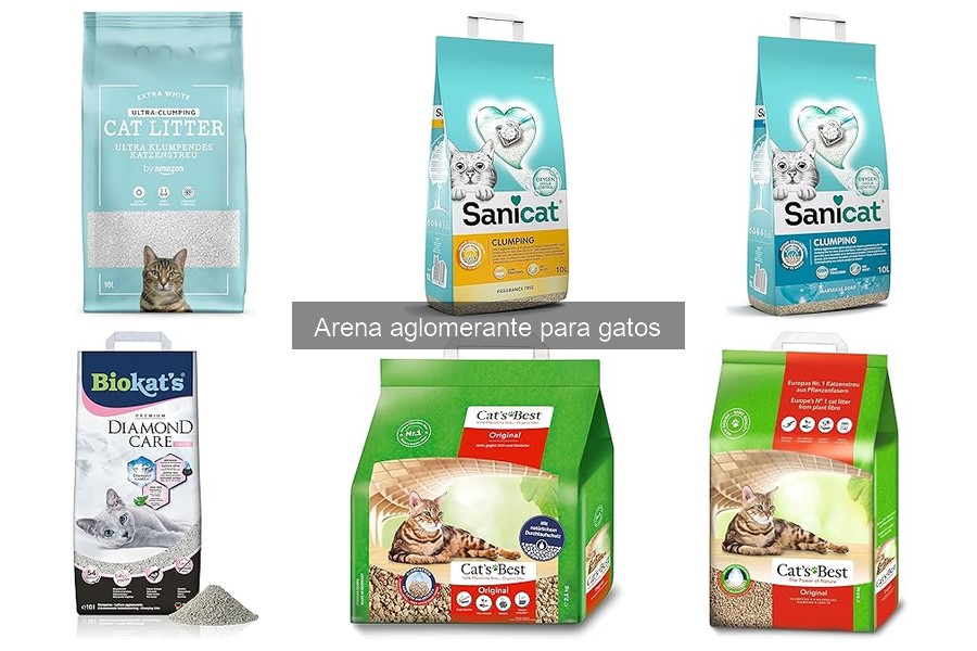 Cómo hacer que tu gato acepte la arena aglomerante