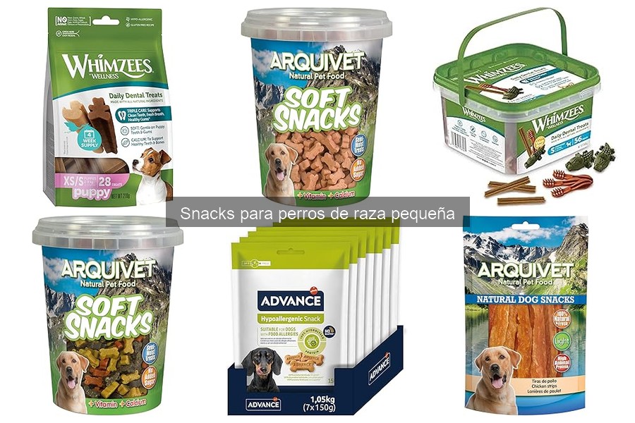 Cómo hacer snacks caseros para perros de raza pequeña