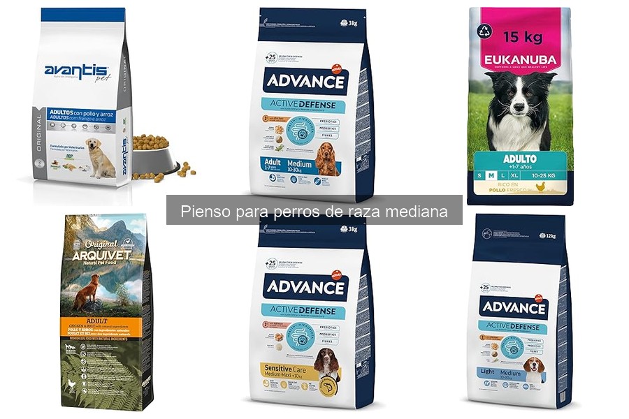 Cómo identificar un buen pienso para perros de raza mediana