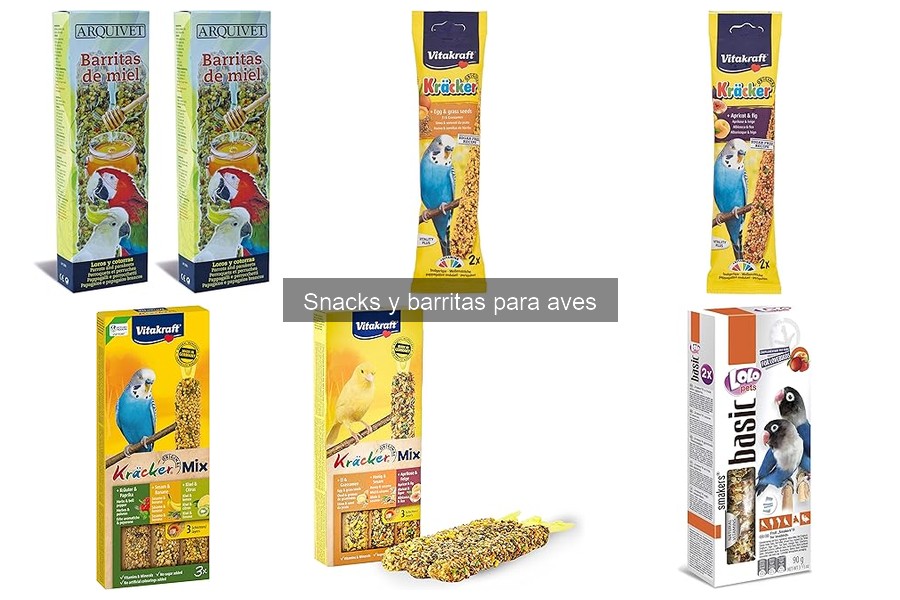 Cómo incorporar snacks en la dieta de aves: guía práctica