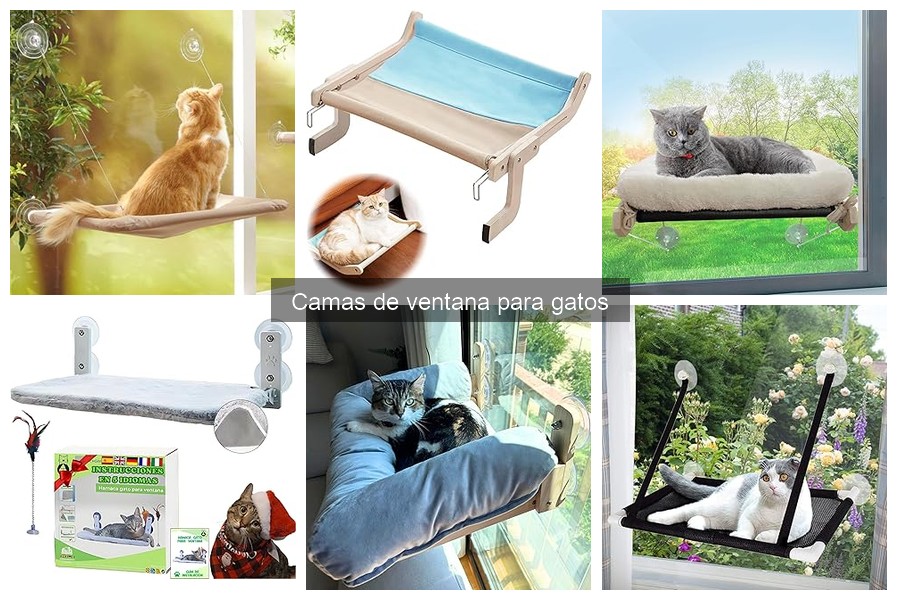 Cómo instalar camas de ventana para gatos fácilmente
