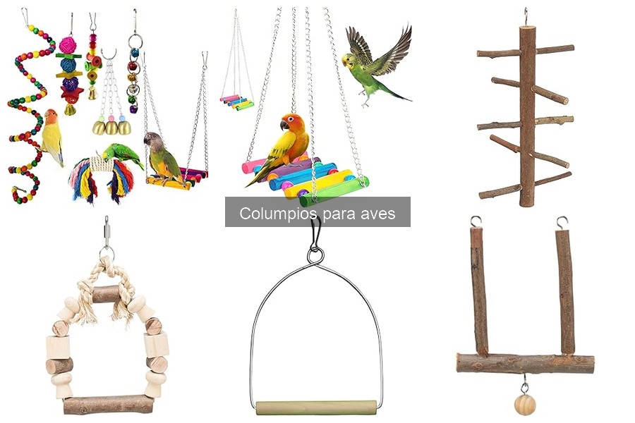 Cómo Instalar Columpios para Aves: Guía Paso a Paso