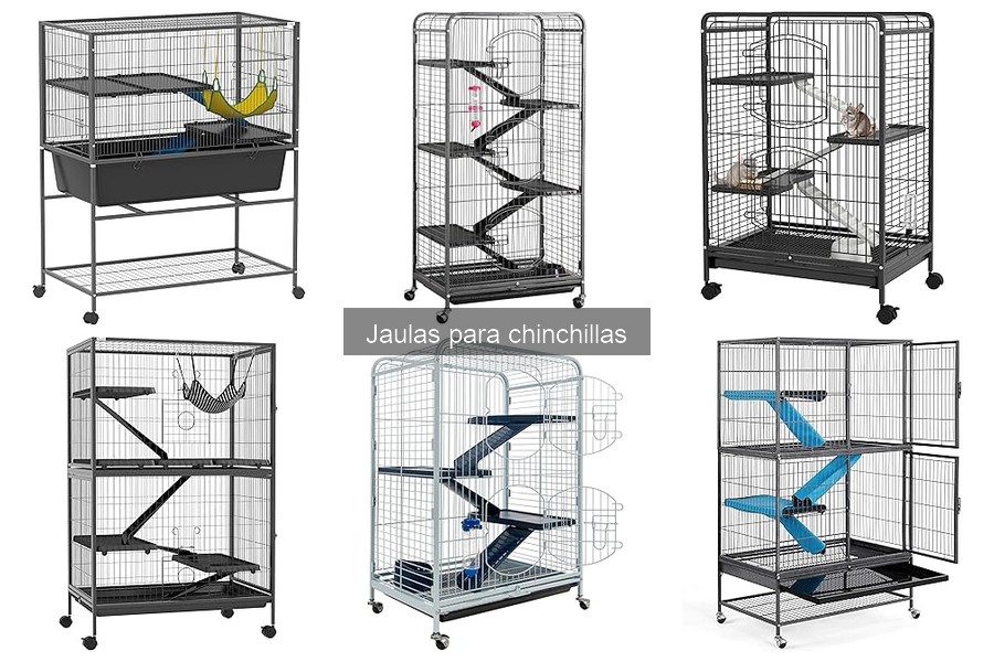 Cómo instalar correctamente una jaula para chinchillas